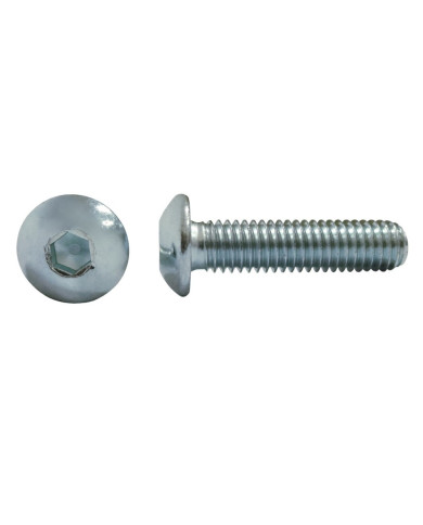 Parafuso Cab. Oval Sext.Int. DIN7380 - 10.9 Zinc.- M6 - 30mm Parafuso Cab. Oval Sext.Int. DIN7380 - 10.9 Zinc.- M6 - 30mm